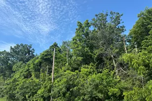 Vacant Land US Hwy 41, Lake Village, IN 46349 - Photo 1