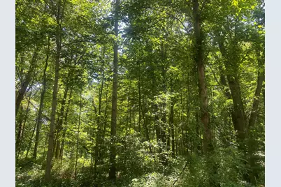 Lots 41-44 Campbell, La Porte, IN 46350 - Photo 3