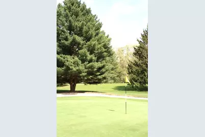 3 Lilac Lane, Grand Beach, MI 49117 - Photo 5