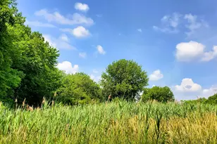 10010 Kennedy Ave, Highland, IN 46322 - Photo 3