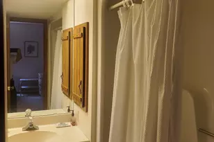 1537 Maple Pl, Schererville, IN 46375 - Photo 15