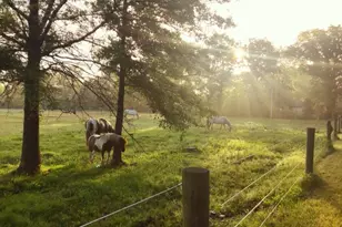 10792 N 600 E, Demotte, IN 46310 - Photo 71