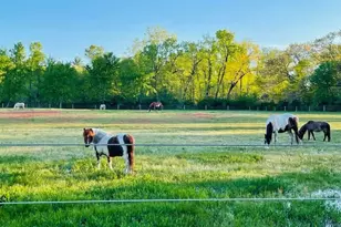 10792 N 600 E, Demotte, IN 46310 - Photo 73