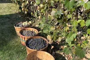 10792 N 600 E, Demotte, IN 46310 - Photo 53