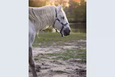 10792 N 600 E, Demotte, IN 46310 - Photo 77