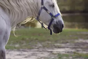 10792 N 600 E, Demotte, IN 46310 - Photo 77