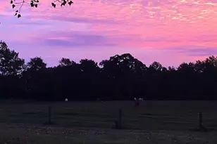 10792 N 600 E, Demotte, IN 46310 - Photo 79