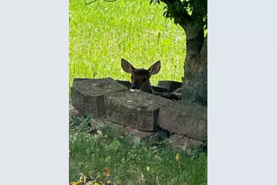 643 N 50 W, Valparaiso, IN 46385 - Photo 13