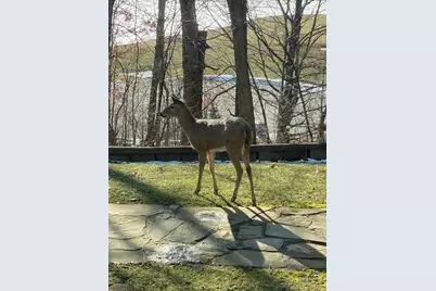 273 Bridlewood Lane, Valparaiso, IN 46385 - Photo 87