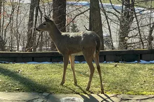 273 Bridlewood Ln, Valparaiso, IN 46385 - Photo 87