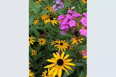 273 Bridlewood Lane, Valparaiso, IN 46385 - Photo 93