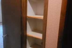 910 Camellia Dr, Munster, IN 46321 - Photo 27