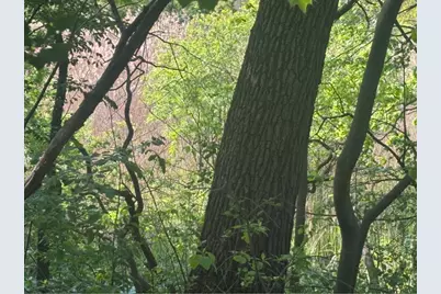 700 Van Buren Avenue, Hobart, IN 46342 - Photo 3