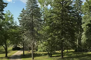 1429 W Lincoln Hwy, Schererville, IN 46375 - Photo 21