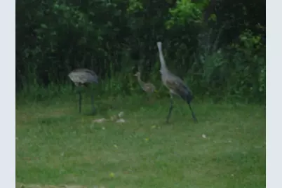 612 W 100 S, Hebron, IN 46341 - Photo 19