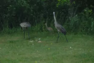 612 W 100 S, Hebron, IN 46341 - Photo 19