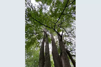 2814 Monnier Street, Portage, IN 46368 - Photo 17