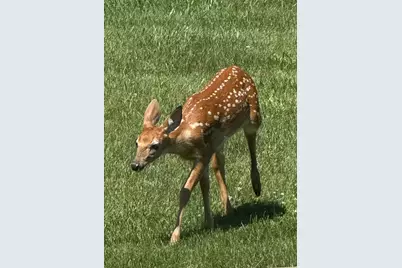 249 W 700 N, Valparaiso, IN 46385 - Photo 43