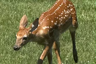 249 W 700 N, Valparaiso, IN 46385 - Photo 43