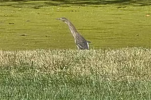 249 W 700 N, Valparaiso, IN 46385 - Photo 45
