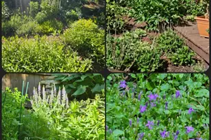 218 Chickadee Trail, Michigan City, IN 46360 - Photo 39