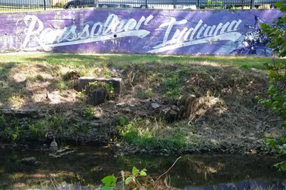 513 N College Avenue, Rensselaer, IN 47978 - Photo 27