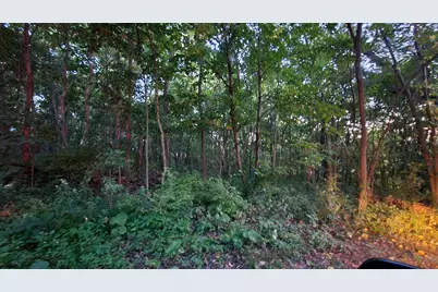 7302 Morse Lane, Cedar Lake, IN 46303 - Photo 3