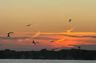 13234 E Lakeshore Dr, Cedar Lake, IN 46303 - Photo 41