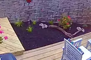 116 Fogarty St, Michigan City, IN 46360 - Photo 45