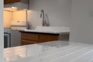 1038 Ridge St, Hammond, IN 46324 - Photo 25