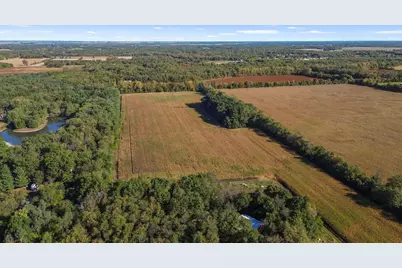 29.029 Acres 900, Fair Oaks, IN 47943 - Photo 5