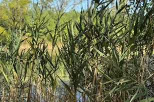 3152 Heavilin Rd, Valparaiso, IN 46385 - Photo 3