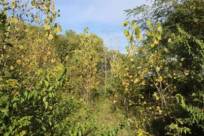 10729 Hanley Street, Crown Point, IN 46307 - Photo 13