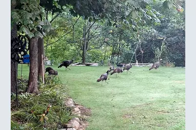 33671 Woodmont Ridge Drive, New Carlisle, IN 46552 - Photo 45