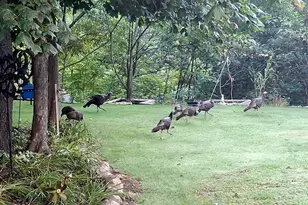 33671 Woodmont Ridge Dr, New Carlisle, IN 46552 - Photo 45