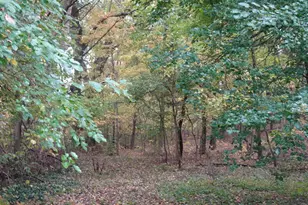 8553 S Main St, Monterey, IN 46960 - Photo 13