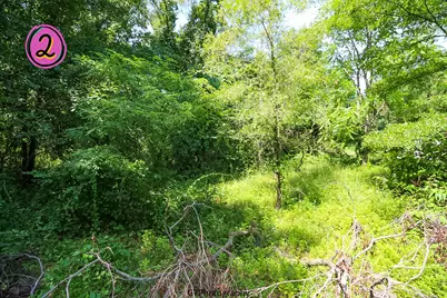 0 Birdella Lane, Michigan City, IN 46360 - Photo 5