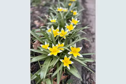 1825 Oriole Drive, Munster, IN 46321 - Photo 31