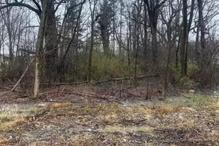 11252 Atherton St, Cedar Lake, IN 46303 - Photo 3