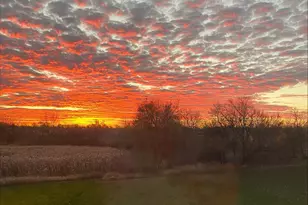 4901 Oriole Ave, Schererville, IN 46375 - Photo 15