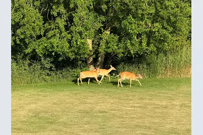 4901 Oriole Avenue, Schererville, IN 46375 - Photo 13