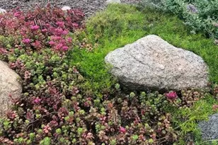 7960 E 173rd Ave, Hebron, IN 46341 - Photo 27