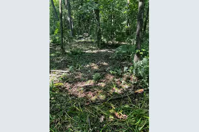 13933 Fairbanks Street, Cedar Lake, IN 46303 - Photo 3