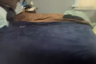 3540 Pennsylvania St, Gary, IN 46409 - Photo 23