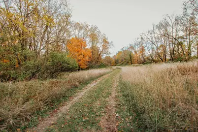 54850 County Line Road, New Carlisle, IN 46552 - Photo 41