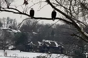 1728 Beachview Ct, Crown Point, IN 46307 - Photo 39