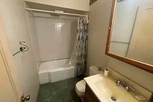 1303 W Cleveland Ave, Hobart, IN 46342 - Photo 5