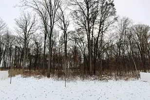 7375 E 120th Pl, Crown Point, IN 46307 - Photo 37