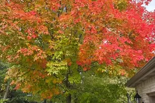 3804 Pheasant Walk Dr, Valparaiso, IN 46383 - Photo 51