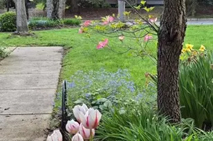 3804 Pheasant Walk Dr, Valparaiso, IN 46383 - Photo 49